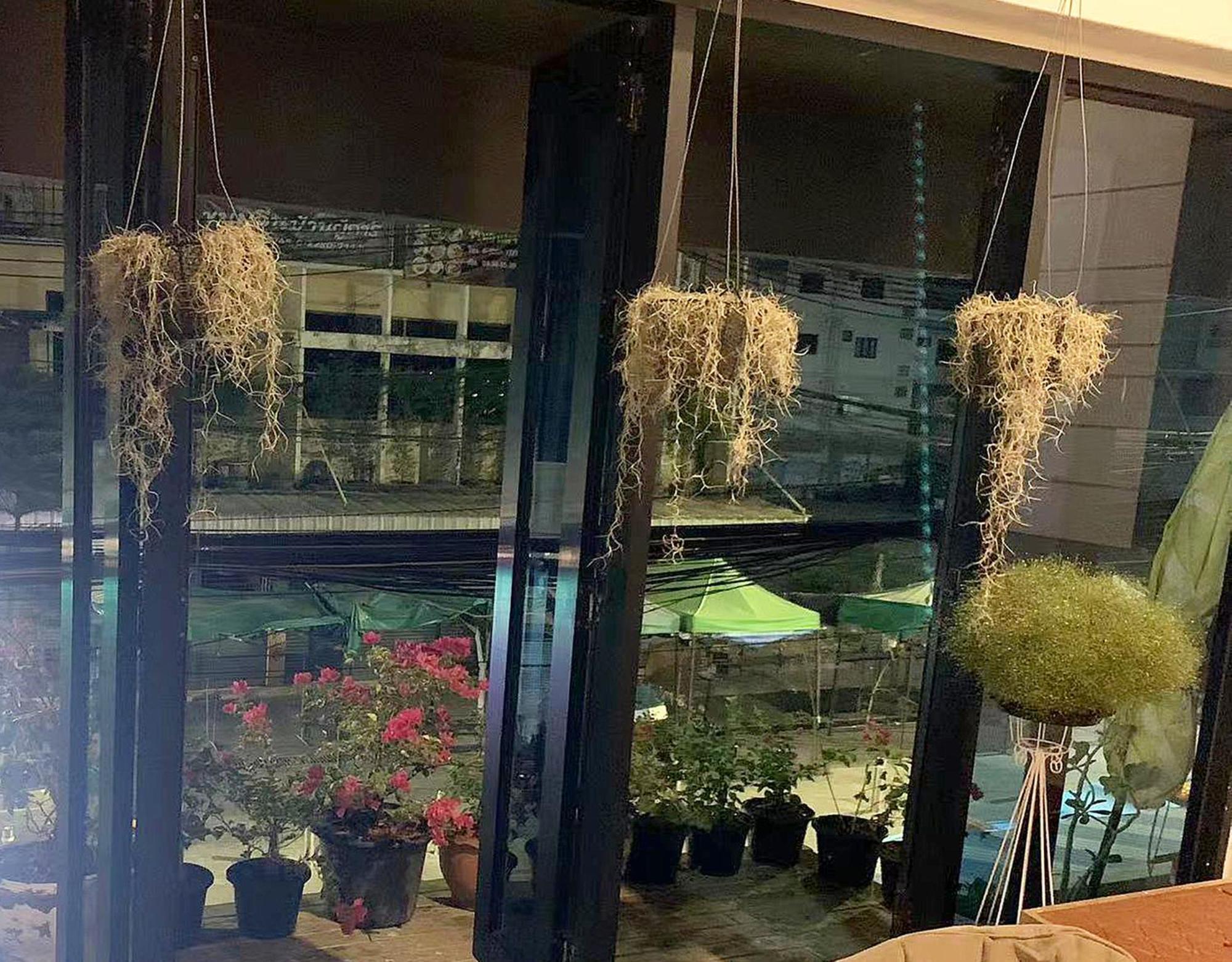 בנגקוק Susu Khaosan Hostel מראה חיצוני תמונה